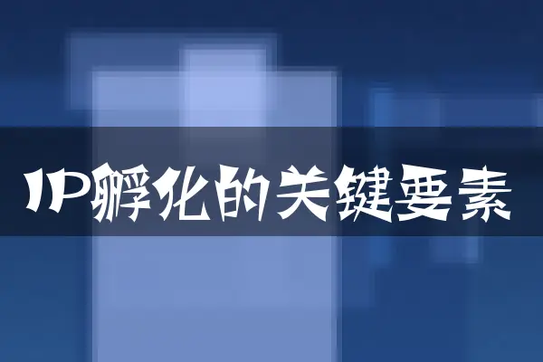 IP孵化的关键要素